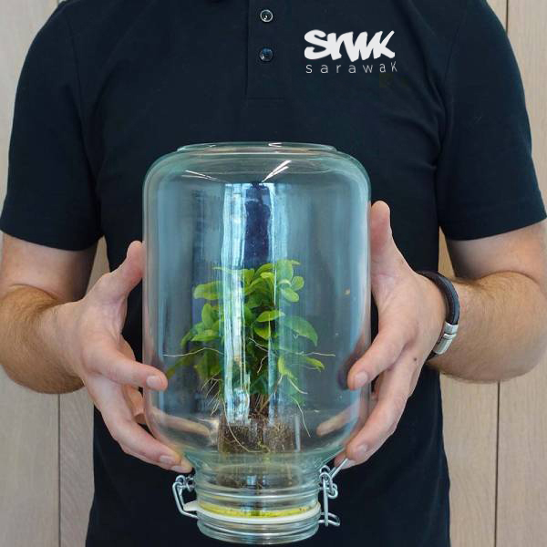 CSR-policy Geef je duurzaamheid een boost